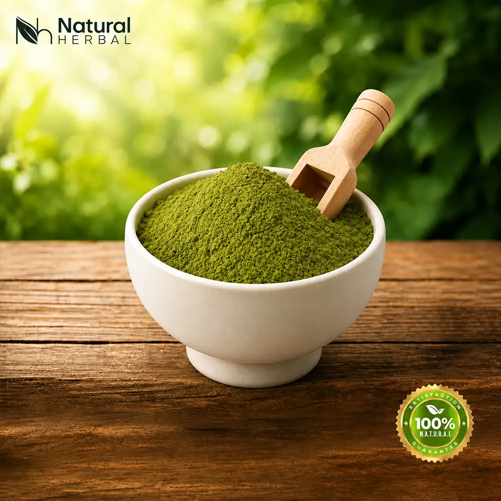 Lawsonia Inermis Powder Wholesalers in Sojat City, Rajasthan Lawsonia Inermis Powder Wholesalers in Sojat City, Rajasthan